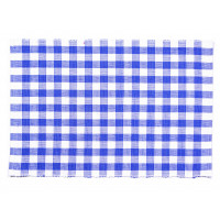 Placemats Ribbed - Toro Blue Check