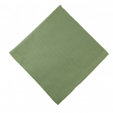 Napkins Plain - Lime Green