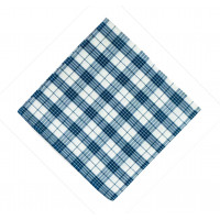 Napkins Pattern - Blue Plaid