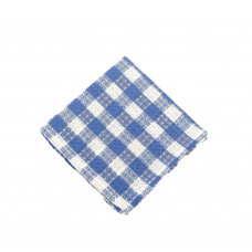 Dish Cloth Pattern - Toro Blue Check