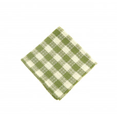 Dish Cloth Pattern - Toro Green Check